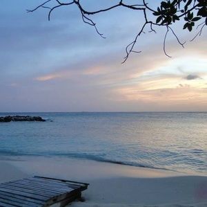 Meet your Posher, Carley